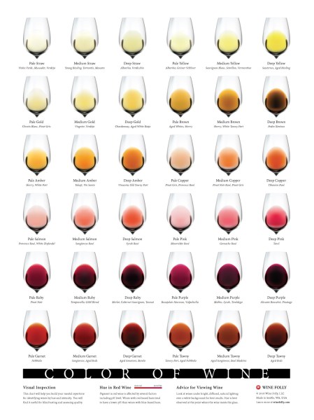 color-of-wine-chart-winefolly.jpg